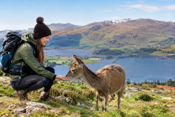 Top Tips for UK Residents to Respect Wildlife While Enjoying the Great Outdoors